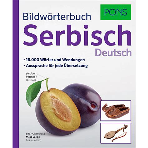 deutsch serbisch|pons german serbian translation.